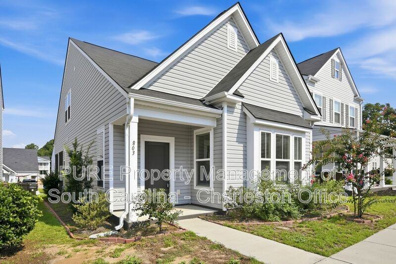 803 Lachicotte Creek Dr - Photo 2 of 21
