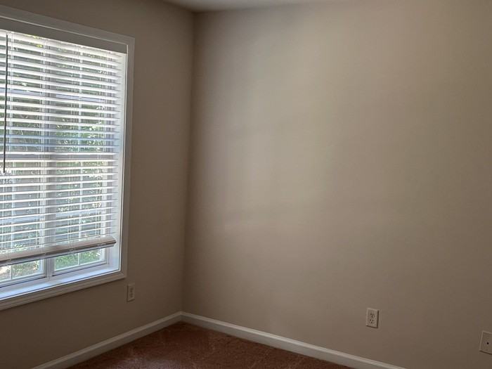 3940 Stutz St - Photo 7 of 7