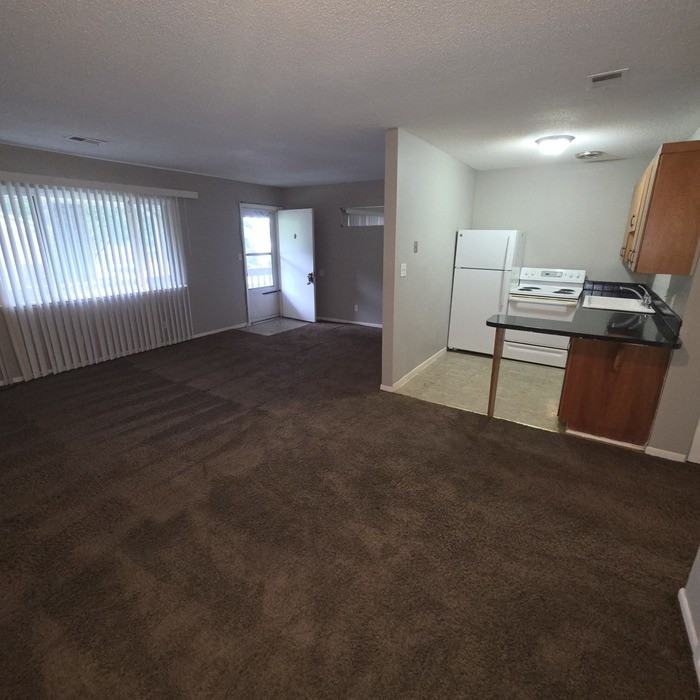 23 N Riley St #217 - Photo 7 of 16