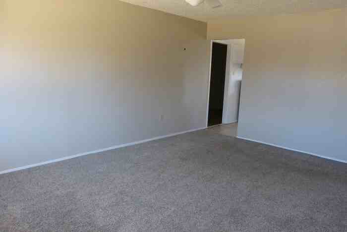 921 E Llano Estacado Blvd - Photo 2 of 18