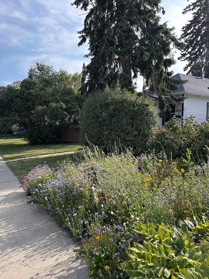1635 16a St Se - Photo 3 of 30