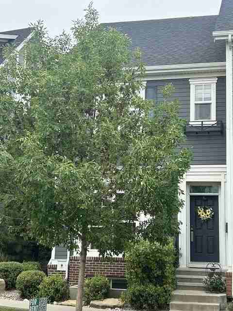 157 Burma Star Rd Sw - Photo 3 of 41