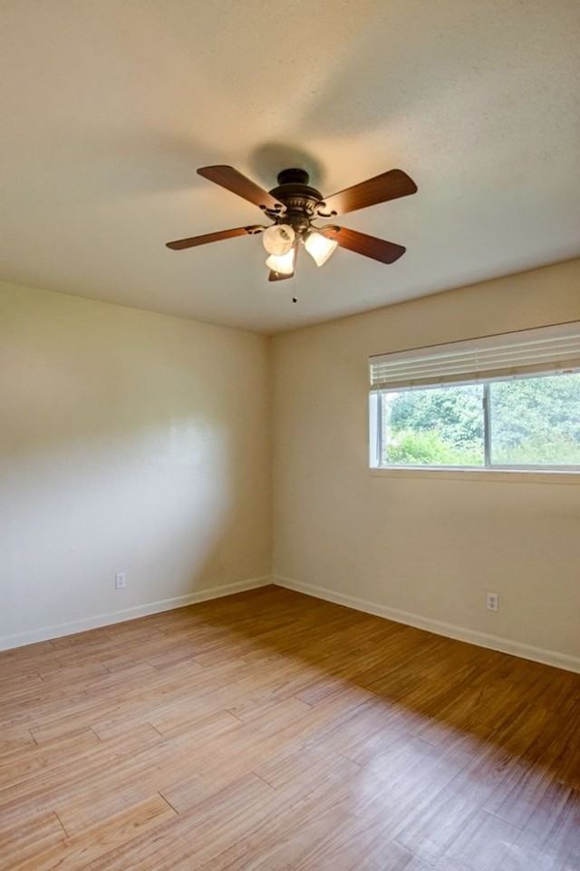 403 Earl Dr - Photo 5 of 10