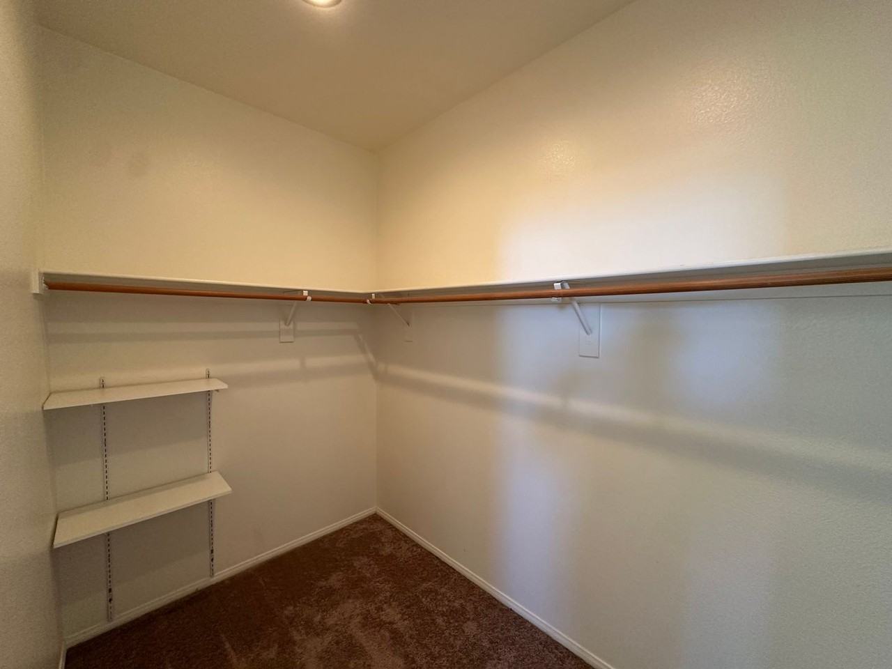 10129 Snow Crest Pl - Photo 5 of 50