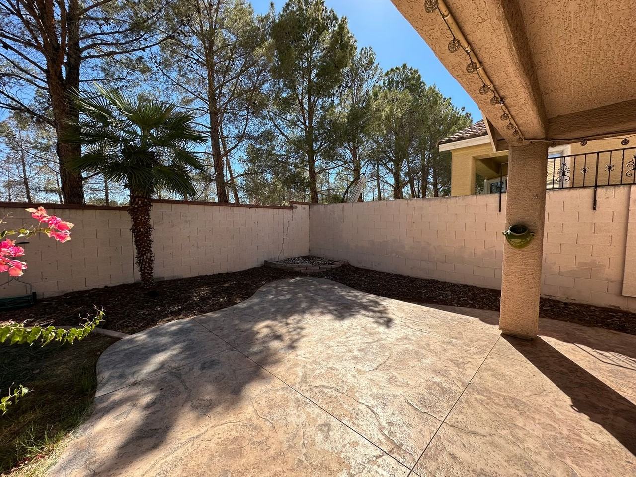 10129 Snow Crest Pl - Photo 6 of 50
