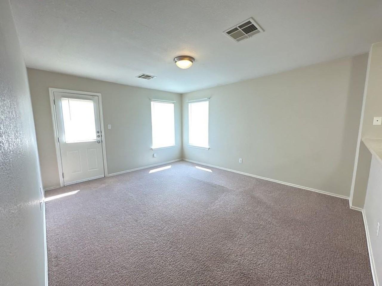 1000 Bluff Meadow Cv - Photo 6 of 20