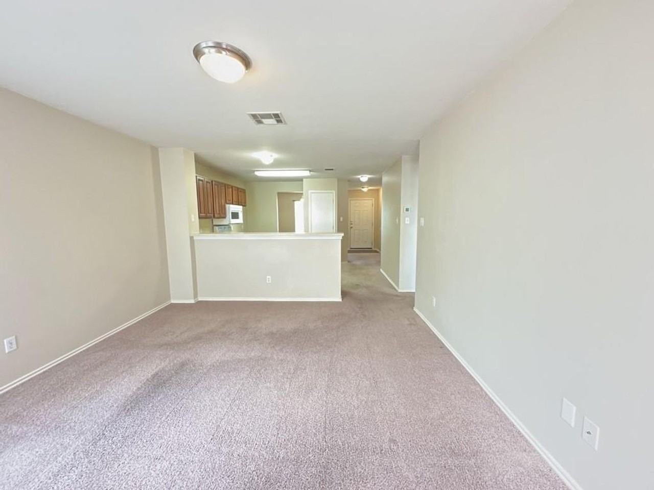 1000 Bluff Meadow Cv - Photo 7 of 20