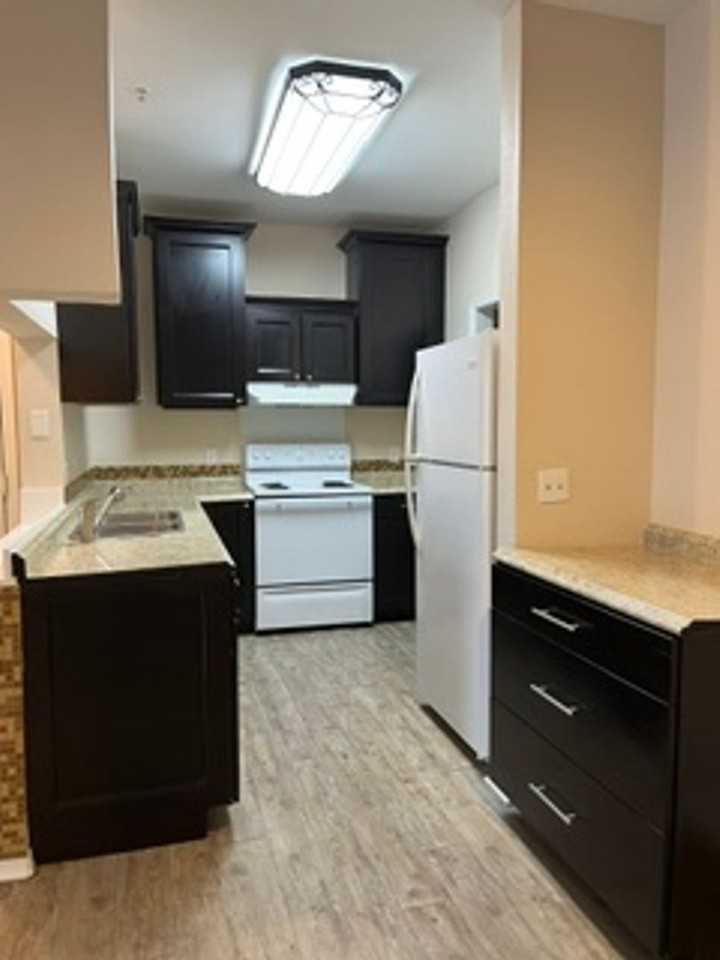 12914 Sanctuary Cove Dr - Photo 3 of 21