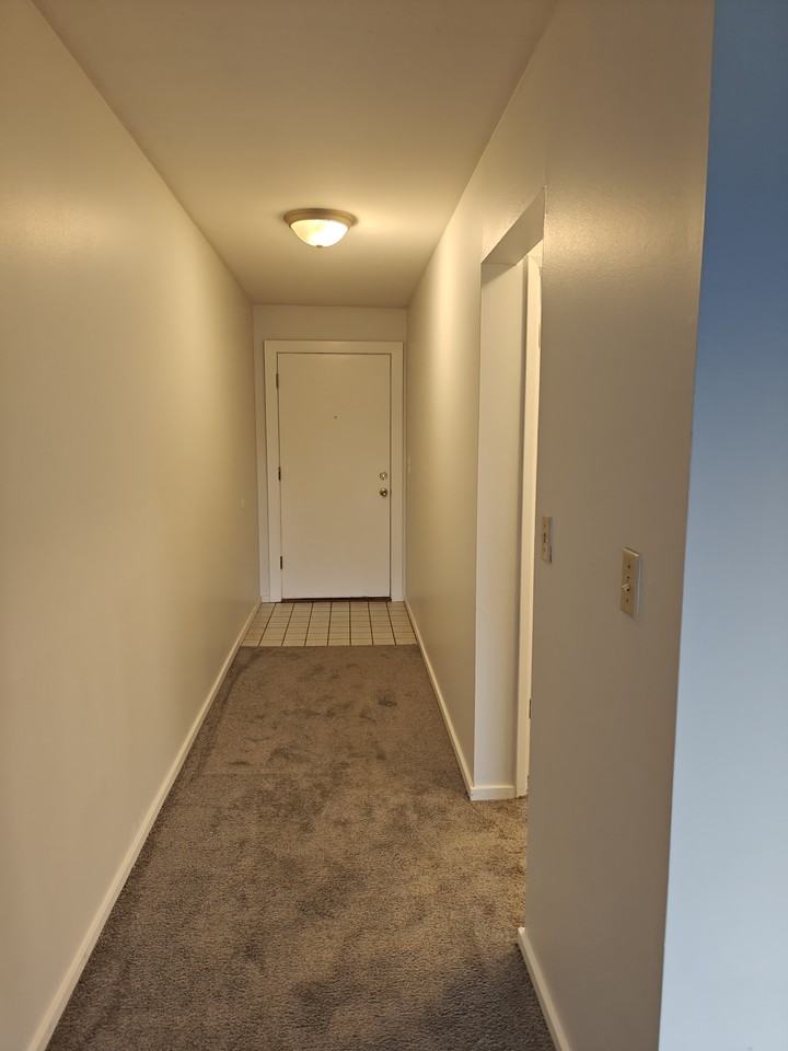 8450 Delridge Way SW #3E - Photo 6 of 8