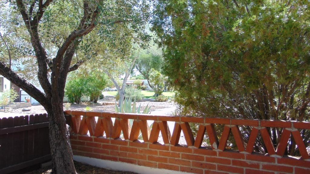 321 S Paseo Cerro - Photo 3 of 12