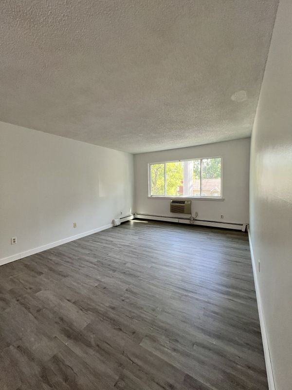 255 Elmwood Ave ##205 - Photo 3 of 18