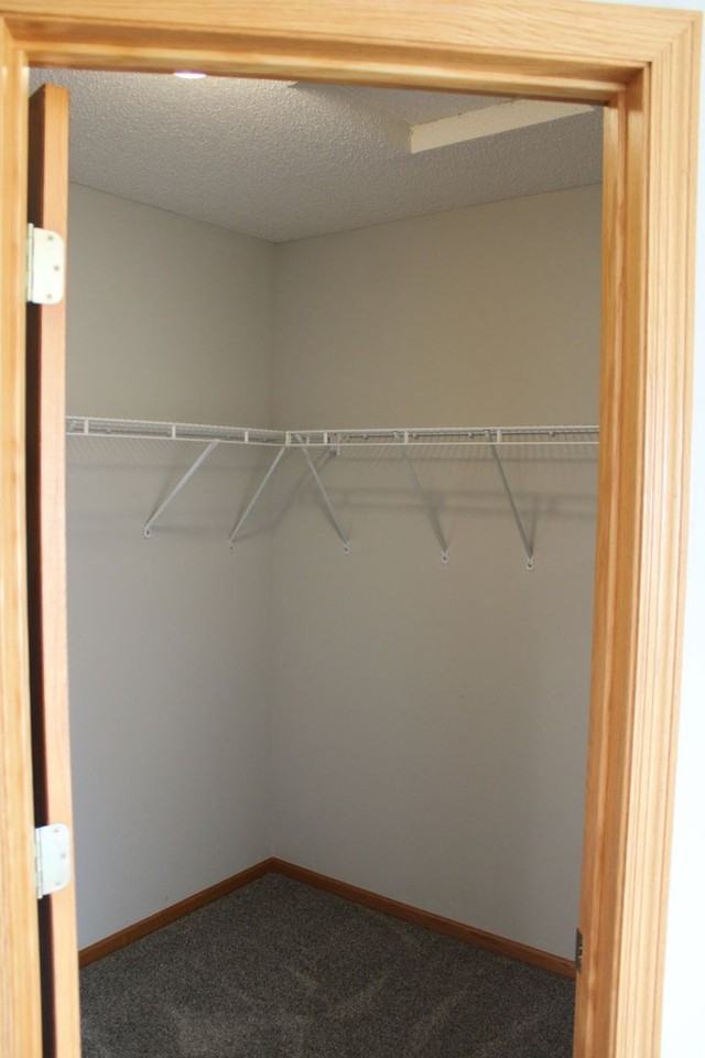 403 Meadow Ln - Photo 7 of 16
