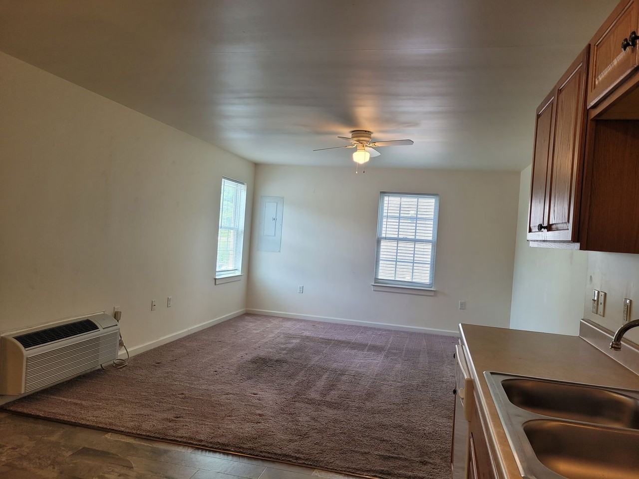 1419 Doron Dr Apt 2a #2A - Photo 4 of 11