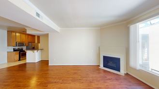 4647co - Photo 1 of 1