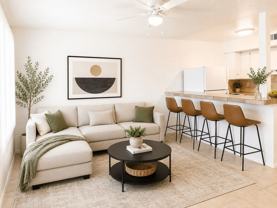12 palms - Photo 1 of 1