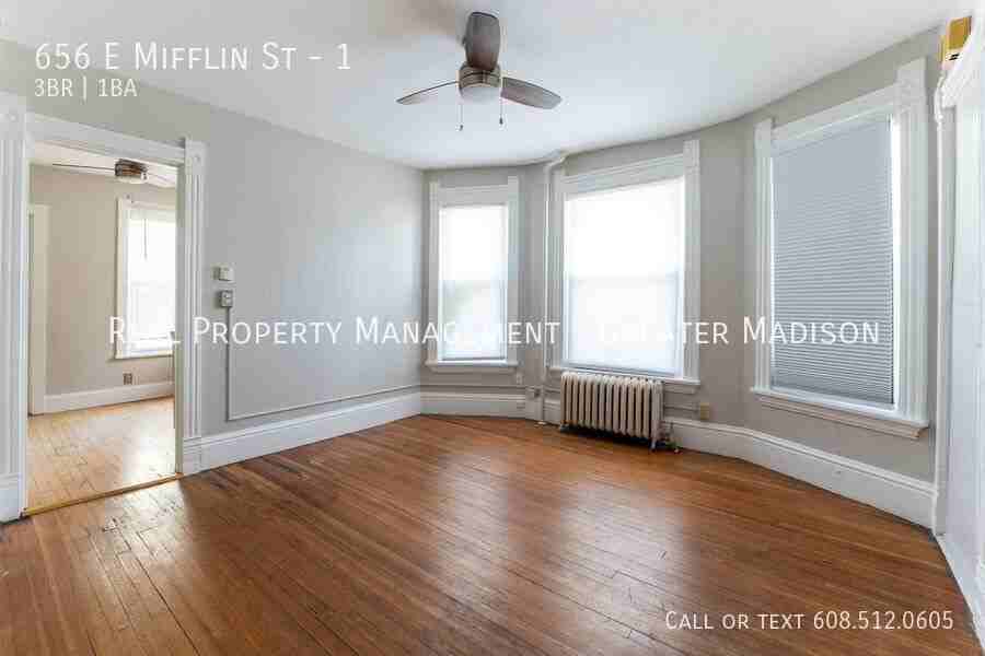 656 E Mifflin St #1 - Photo 5 of 14