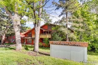 1895 Alpine Ave #A1 - Photo 1 of 1