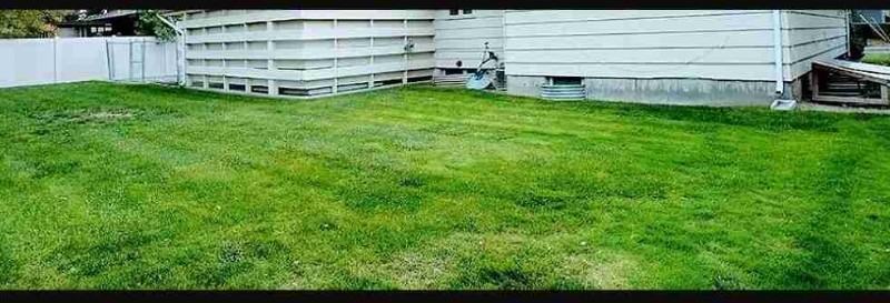 2335 1/2 Wyoming Ave - Photo 2 of 11