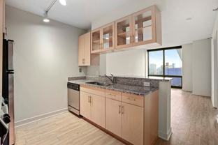 1265 S Michigan Ave - Photo 1 of 1