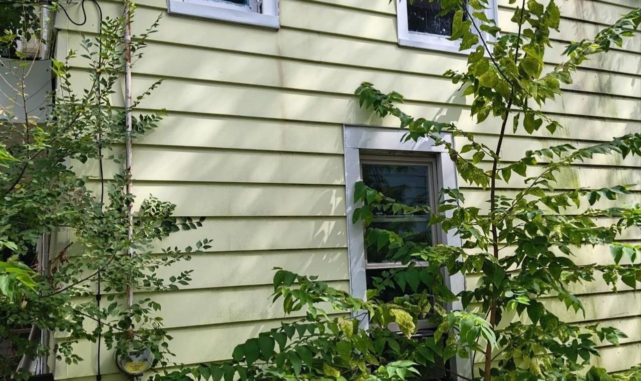 517 Vine St - Photo 2 of 14