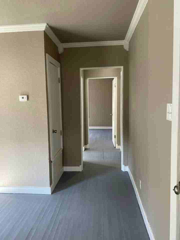 1277 Estelle Street - Photo 6 of 10