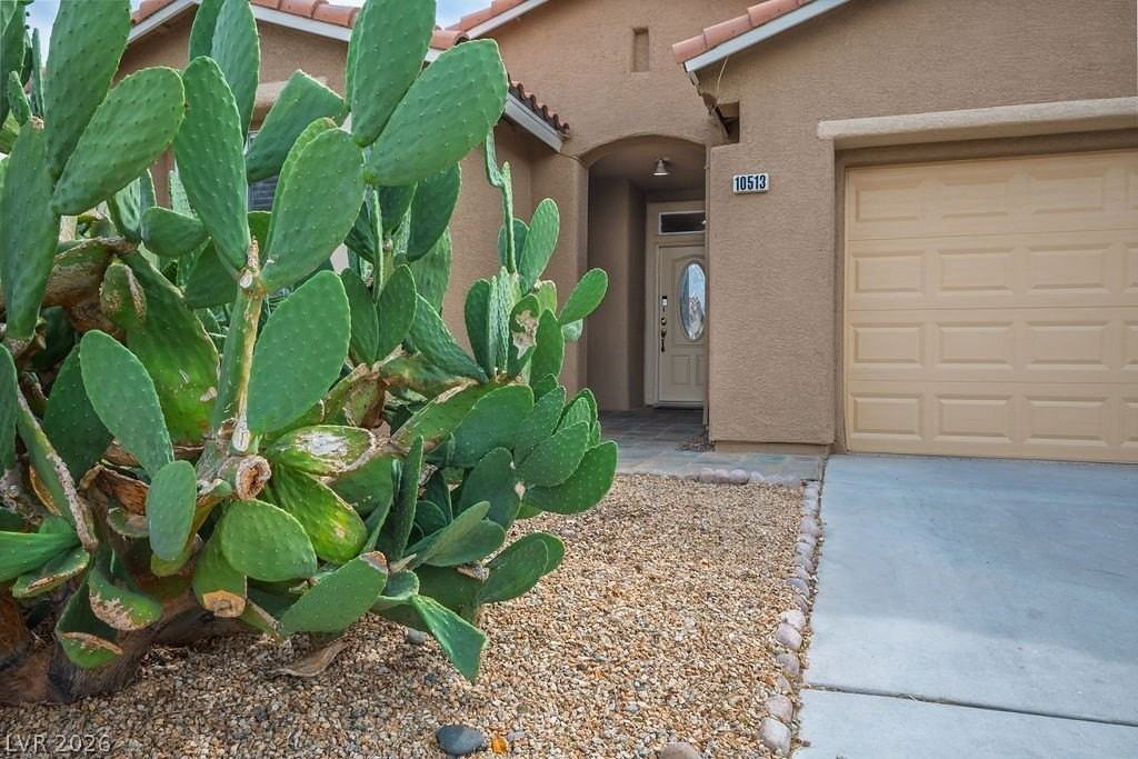 10513 Shanna Trellis Ave - Photo 4 of 50
