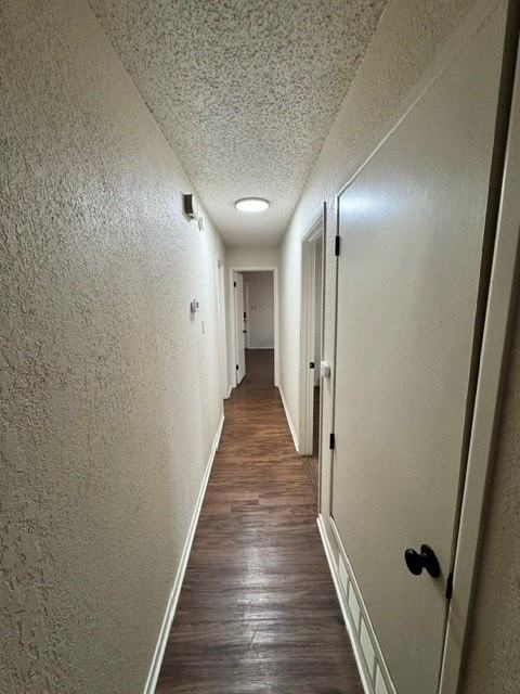 985 Minter Ln - Photo 7 of 14