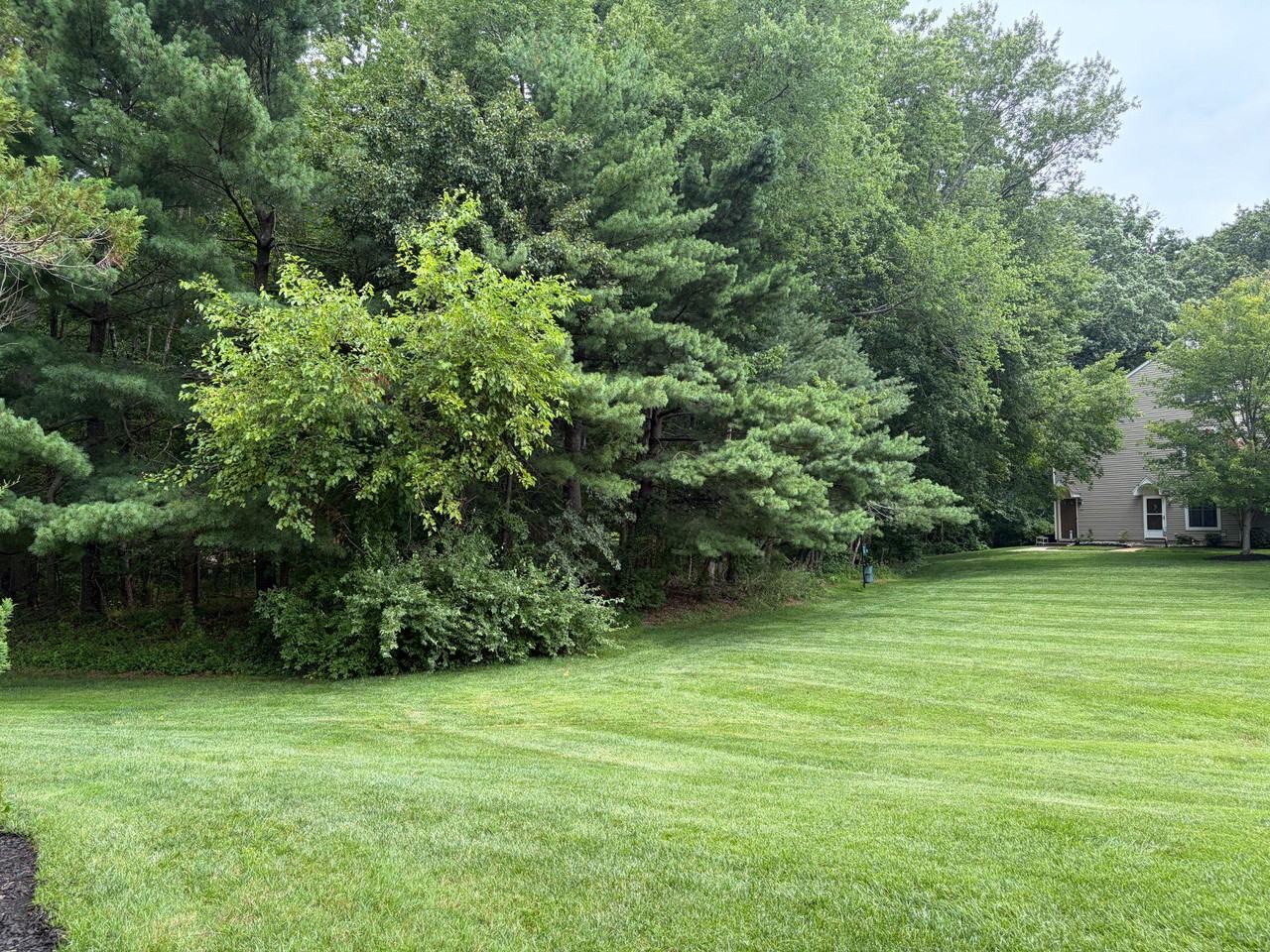 189 Collin Ct - Photo 7 of 8