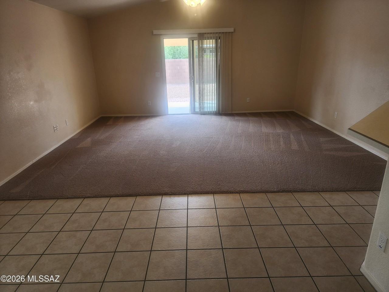 7649 S Freshwater Pearl Dr - Photo 3 of 14
