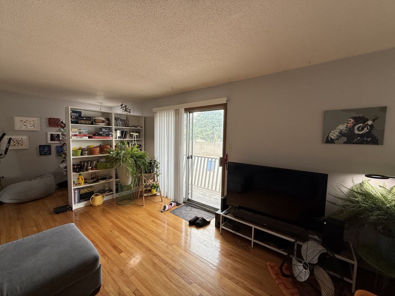 Large 3 Bed, 1.5 Bath Home in the Heart of Varsity - Photo 3 of 13