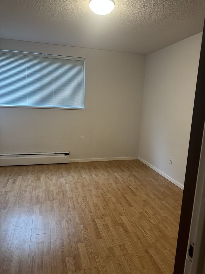 Chestnut Apartments - Photo 5 of 23