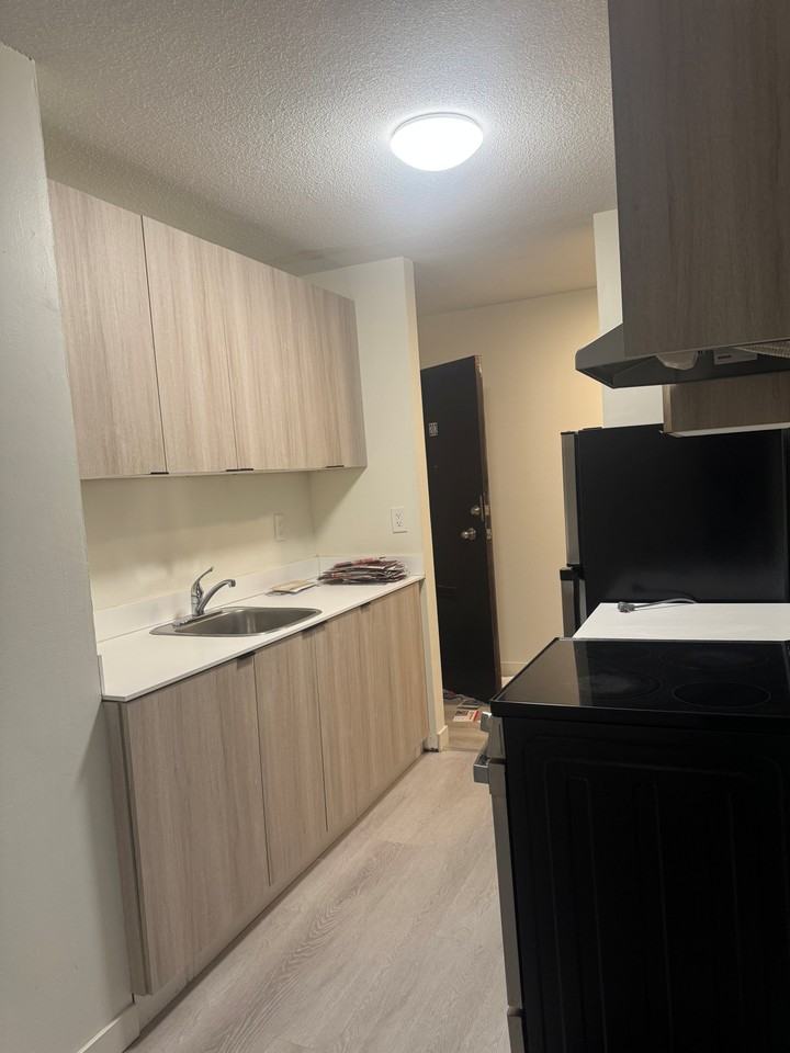 Chestnut Apartments - Photo 7 of 23