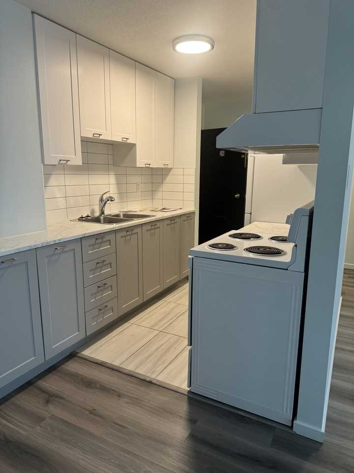 Chestnut Apartments - Photo 7 of 19