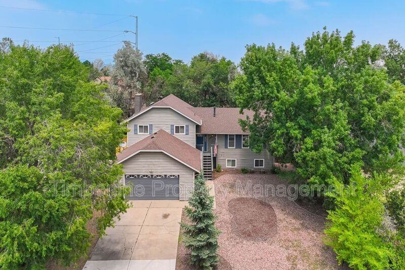 6446 Pulpit Rock Dr - Photo 3 of 50