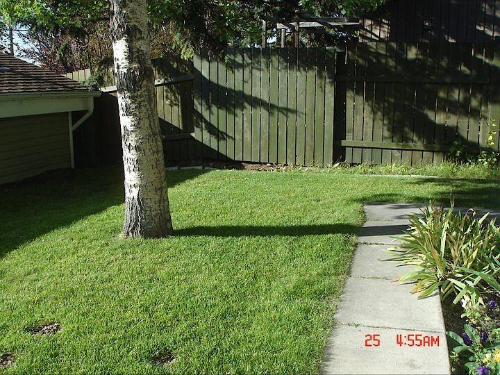 447 Queen Charlotte Dr Se - Photo 2 of 13