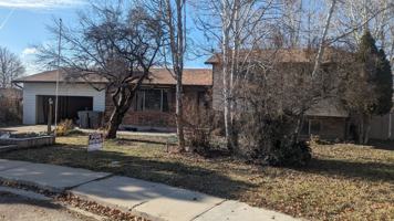 featured image of 117 N St