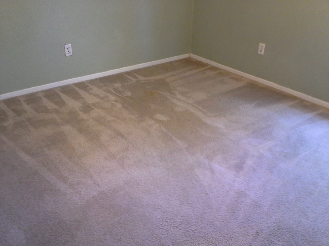 3324 Dorothy Ln - Photo 5 of 14