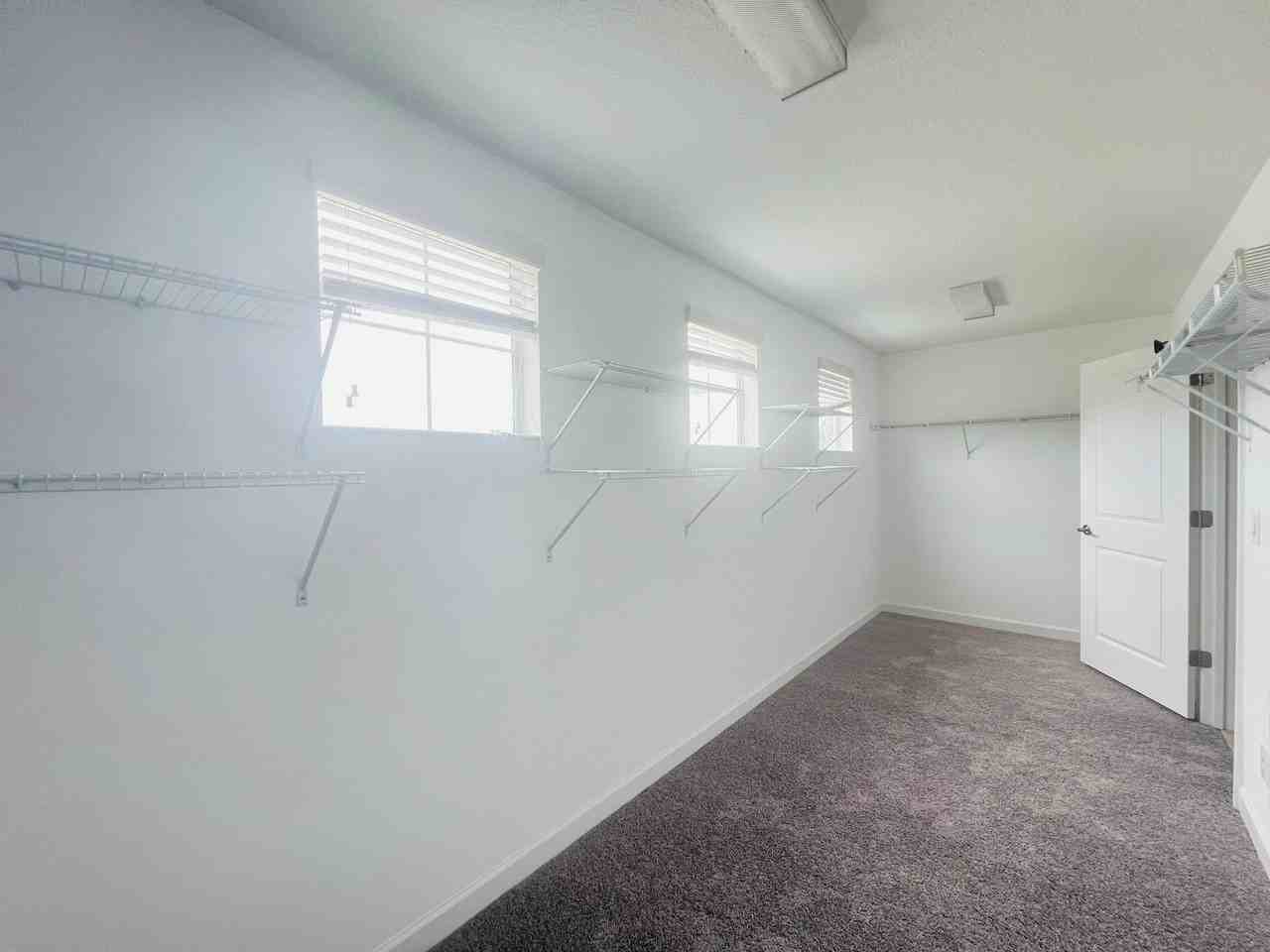 13149 Green Violet Dr - Photo 7 of 18