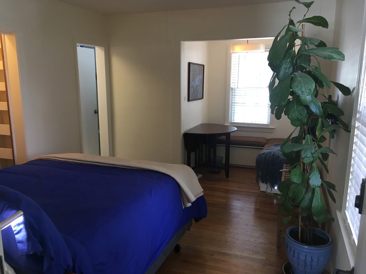 555 Saulsbury Street #1 - Photo 2 of 17