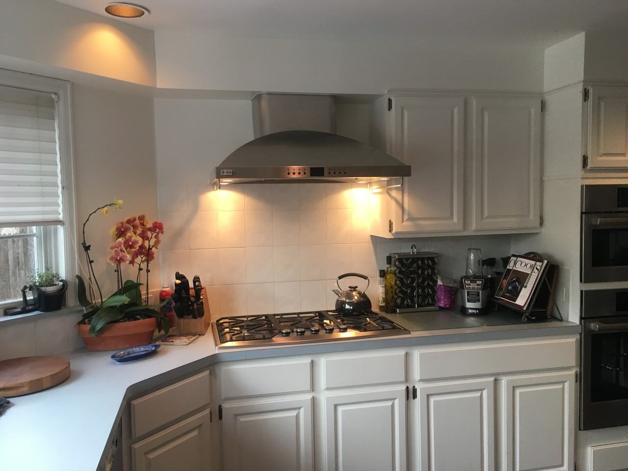 555 Saulsbury Street #1 - Photo 7 of 17
