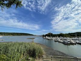 featured image of 34 Milland Dr