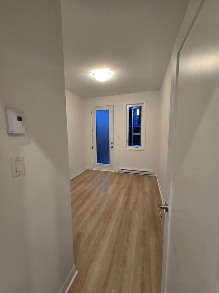 333 Rue de Beauharnois Ouest - Photo 7 of 9