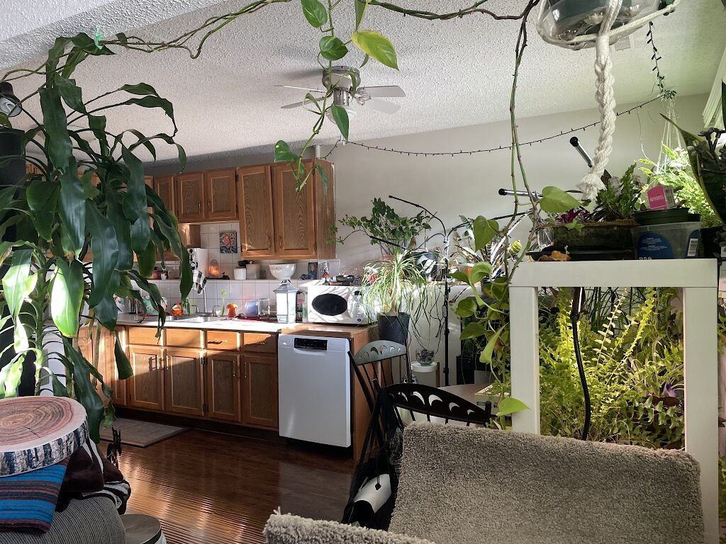 4611 80 St Nw - Photo 3 of 26