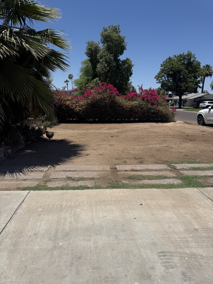 3515 E Flower St #NA - Photo 4 of 8