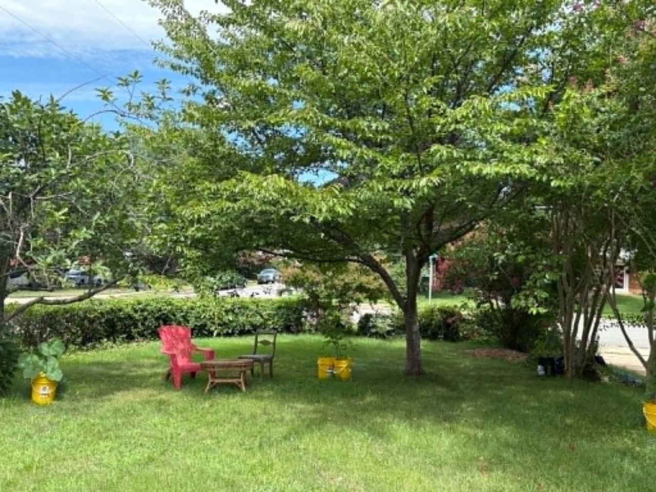 7307 Grace St #NA - Photo 2 of 30
