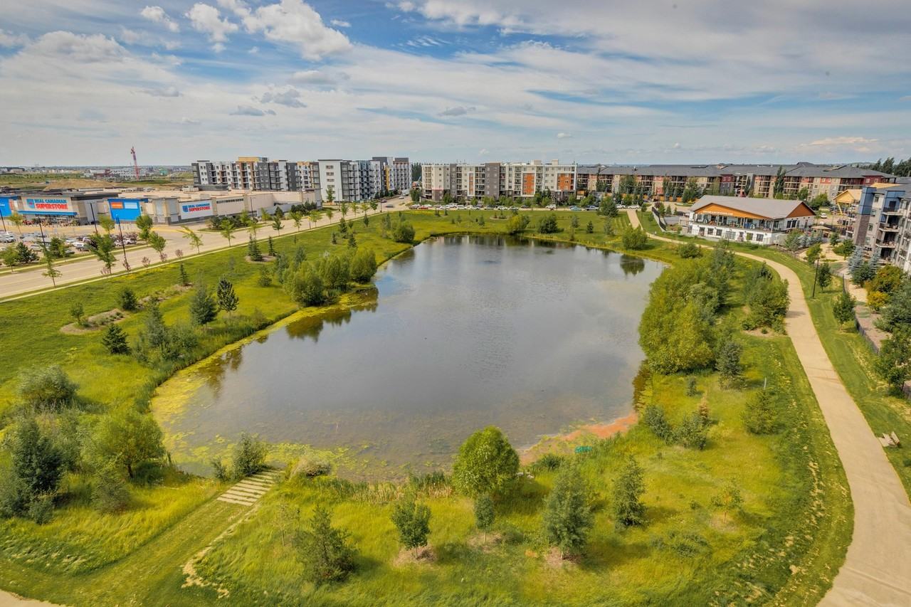 Azure Apartments - Photo 4 of 50