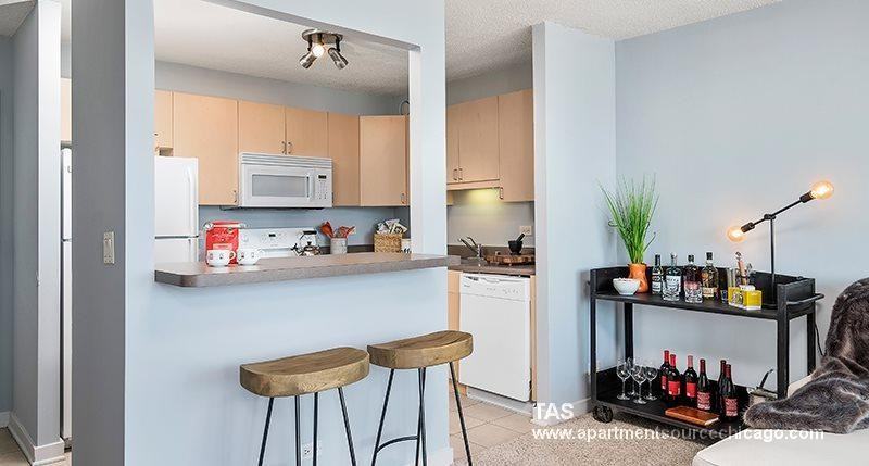 1212 S Michigan Ave #2902 - Photo 3 of 40