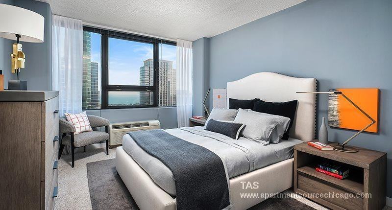 1212 S Michigan Ave #2902 - Photo 5 of 40