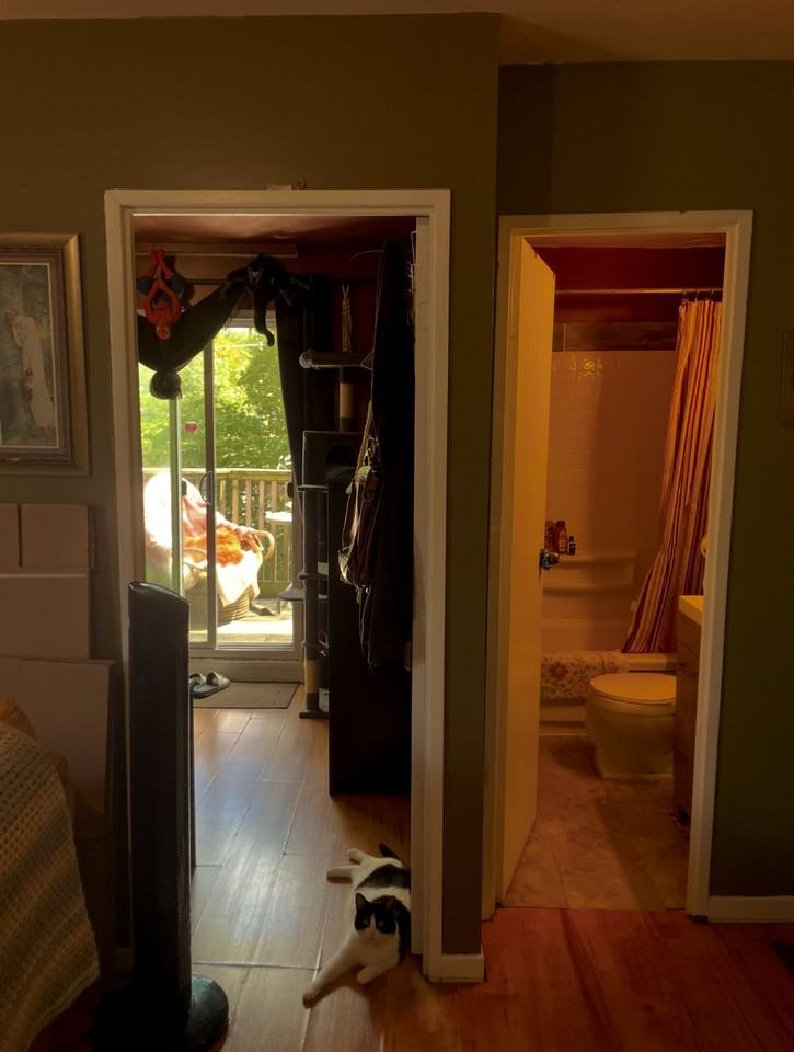 24 Albany Avenue #6 - Photo 7 of 10