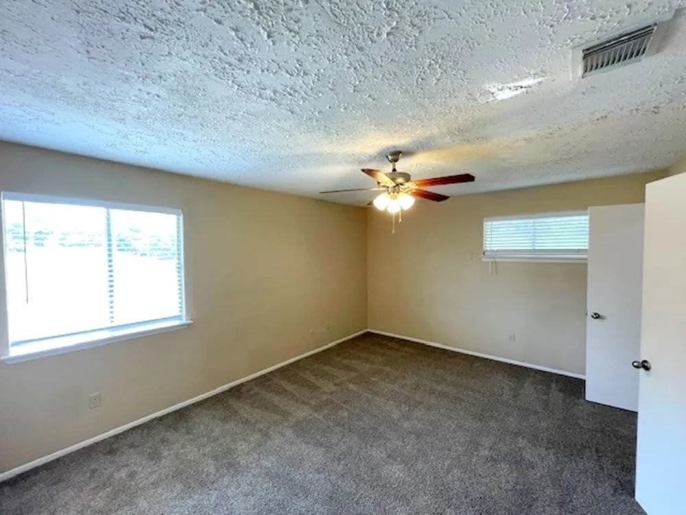 16123 Golden Sage Ln - Photo 7 of 10